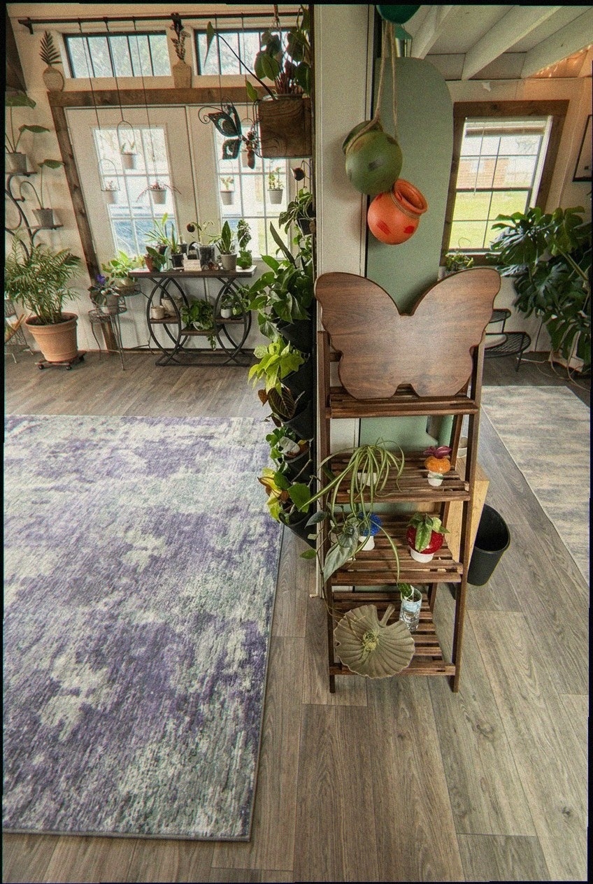 Artistic Fluidity Meets Daily Function in the Modern Living Room